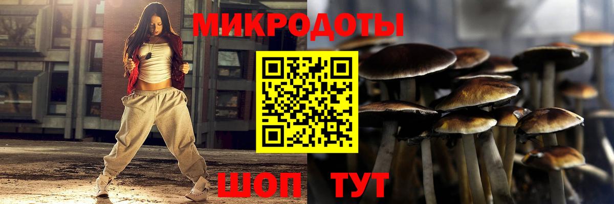 купить  цена  Псилоцибиновые грибы MAGIC MUSHROOMS  Вход с VPN  Белогорск 